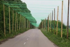 Уряд визначив відповідального за відновлення доріг на прифронтових територіях