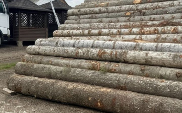 Правоохоронці зупинили тіньовий експорт кругляку до Молдови новини LB.ua