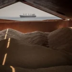 Стало відомо, скільки тонн українського зерна експортувала Росія з початку року