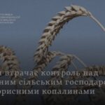 таджицькі аграрії можуть вирощувати олійні культури в РФ новини LB.ua