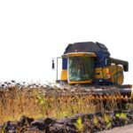 В Україні зібрали 371 млн тонн зернових і 139 млн тонн олійних