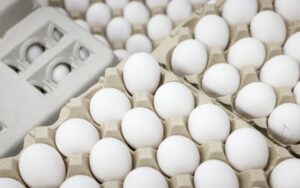Україна відкрила 29 нових напрямків агроекспорту у 2026 році
